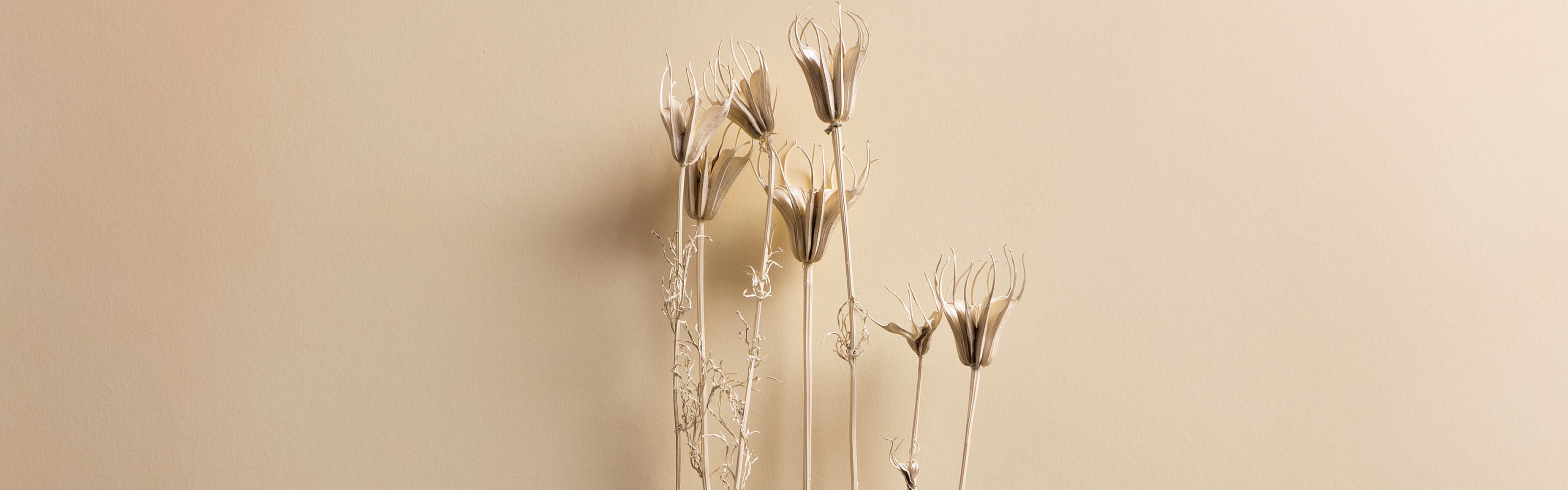 Dry Vagina: Causes and Treatments