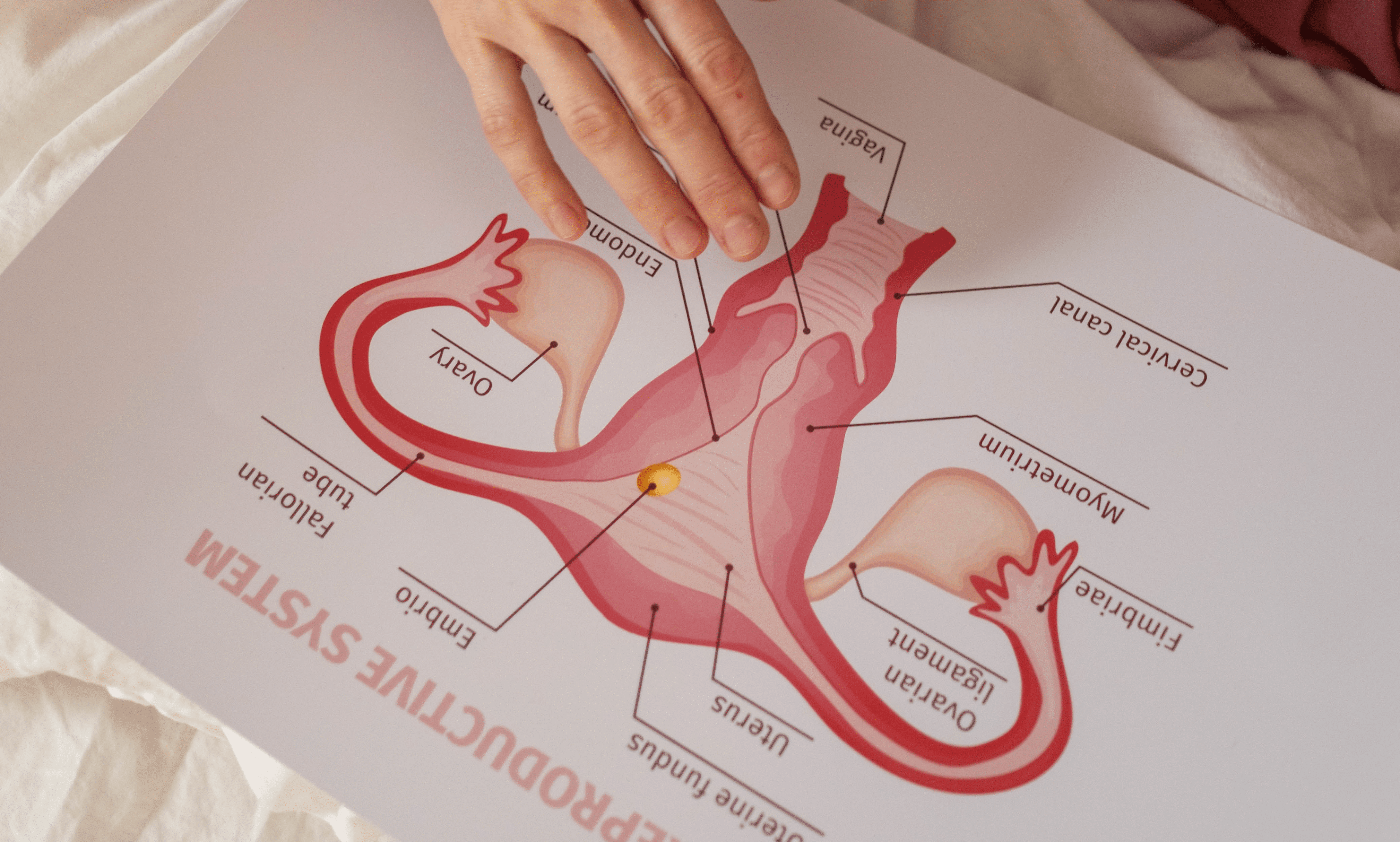 Vaginal Balance: Simple Tips and Care for Healthy Vaginal Balance