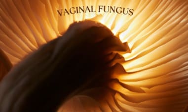 Can Vaginal Yeast Infections Clear Up on Their Own?